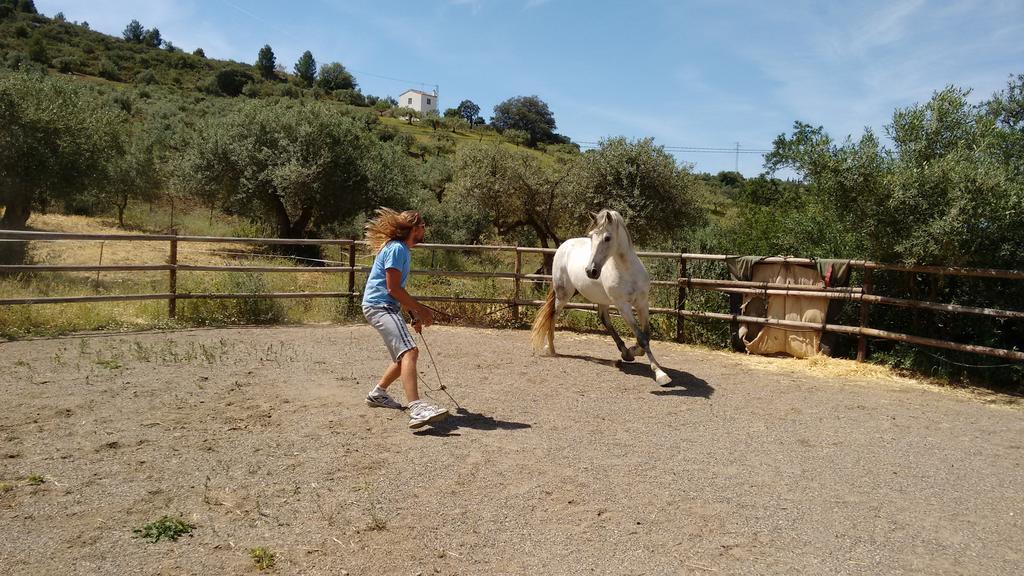 Finca La Piedra Holidays Alora Eksteriør bilde