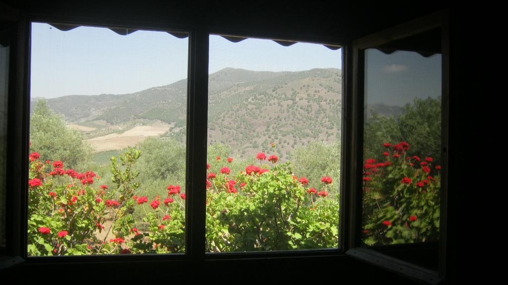 Finca La Piedra Holidays Alora Rom bilde