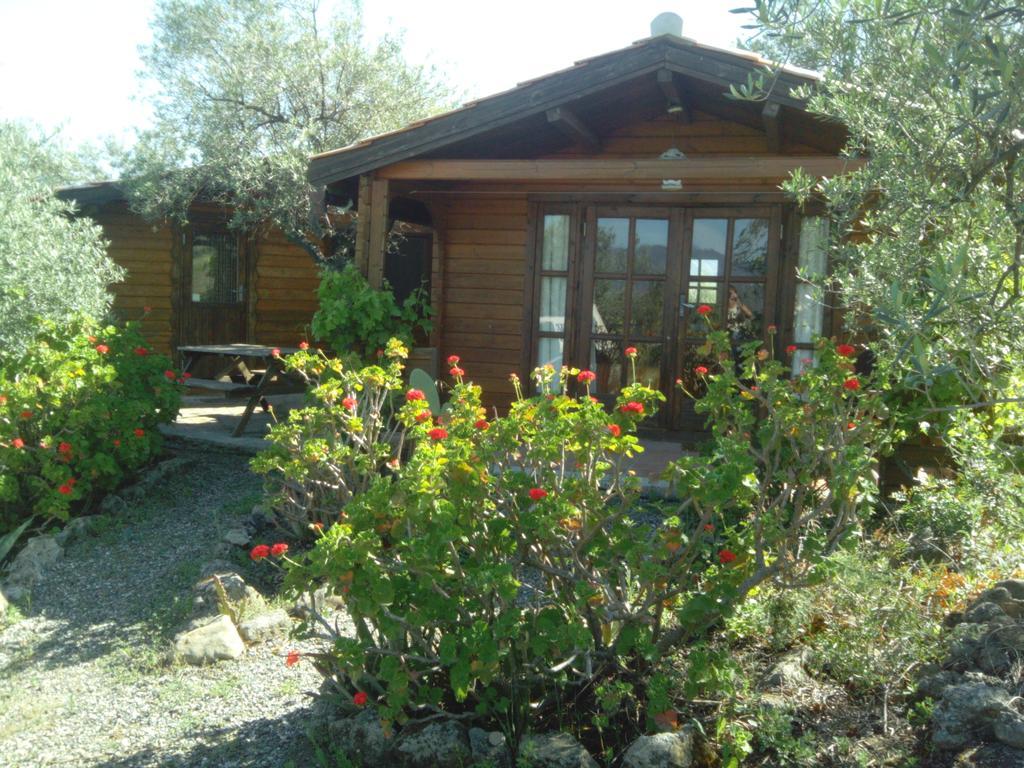 Finca La Piedra Holidays Alora Rom bilde