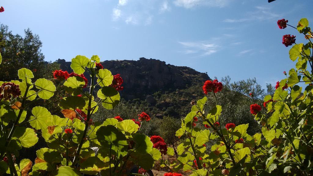 Finca La Piedra Holidays Alora Eksteriør bilde